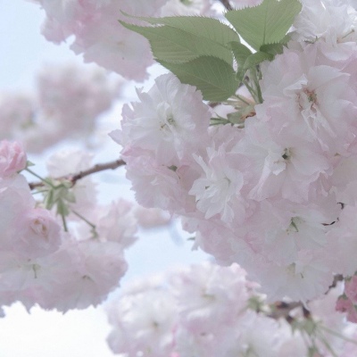 兽设城市场景创作福瑞交流群